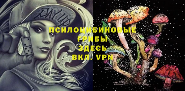 альфа пвп Беломорск