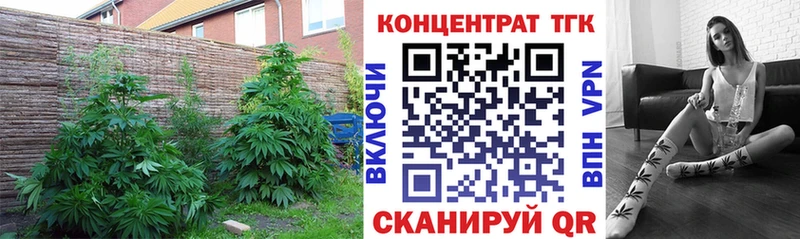 закладки Гулькевичи ТГК гашишное масло